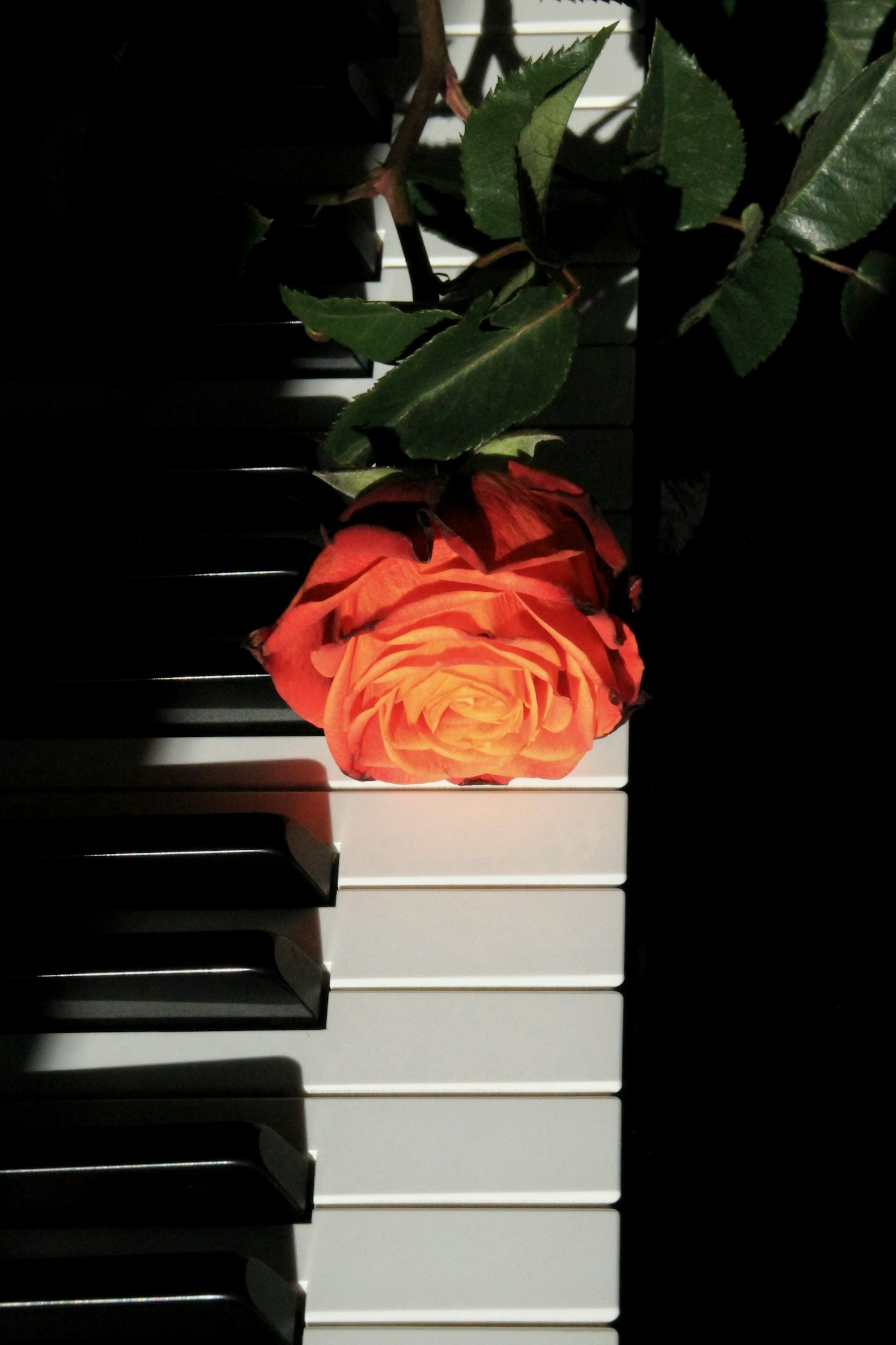 5 Secrets Behind Lenae B’s Songwriting Process
